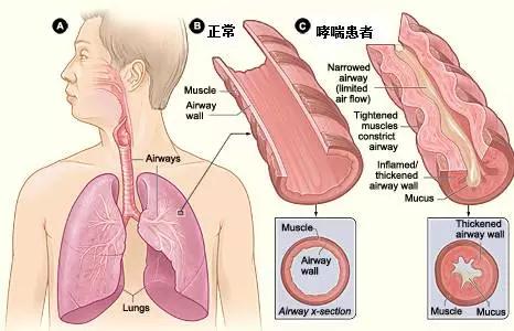 &#24320;&#20803;&#32593;&#39029;&#29256;&#95;&#24320;&#20803;&#40;&#20013;&#22269;&#41;