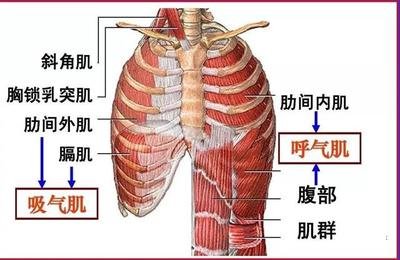 &#24320;&#20803;&#32593;&#39029;&#29256;&#95;&#24320;&#20803;&#40;&#20013;&#22269;&#41;